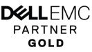 DELLEMC Partner Gold