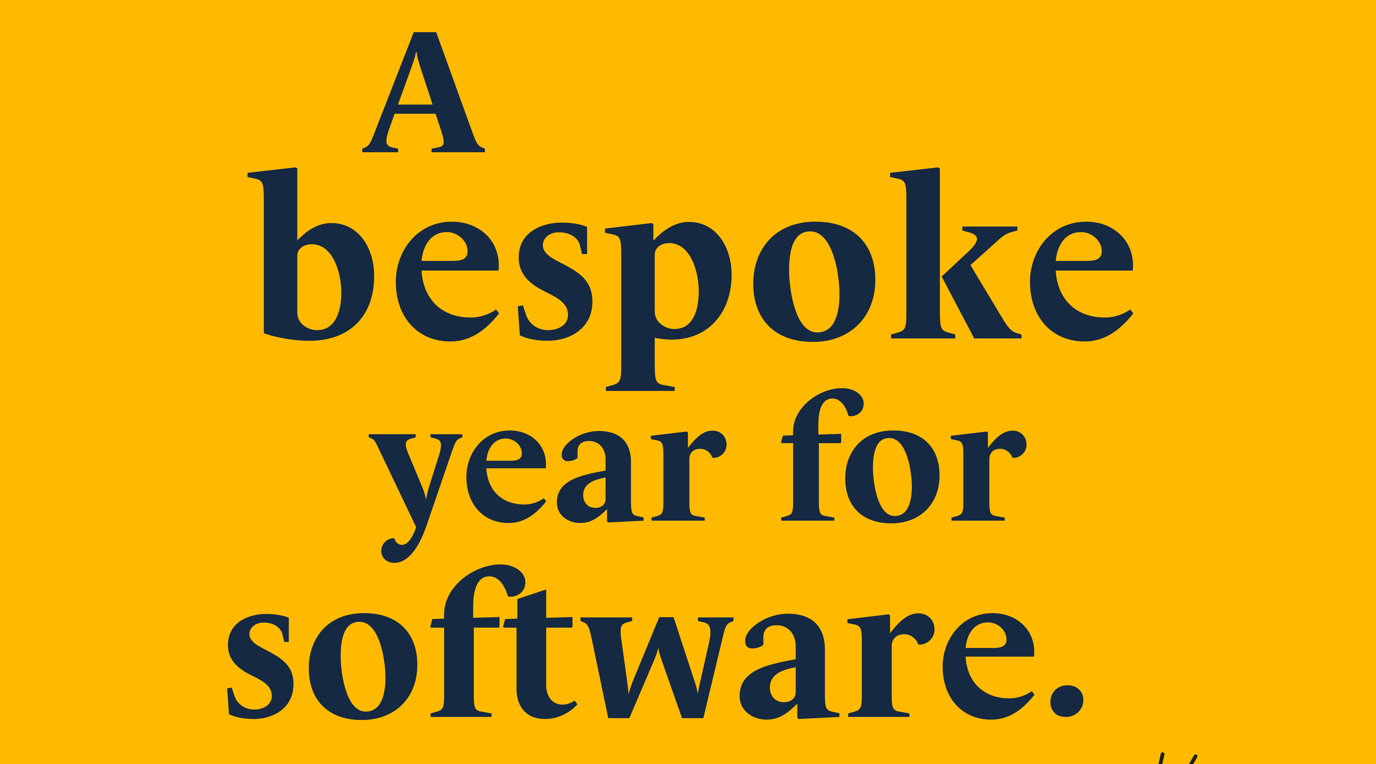 Bespoke year for software